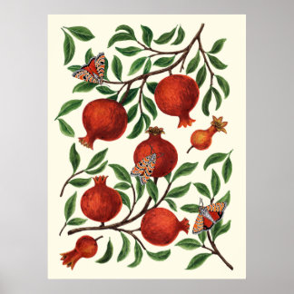 Poster Grenades et papillons de nuit sur fond blanc cassé