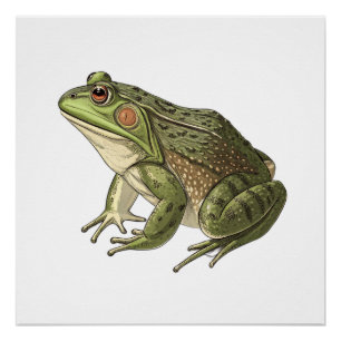 Poster Grenouille