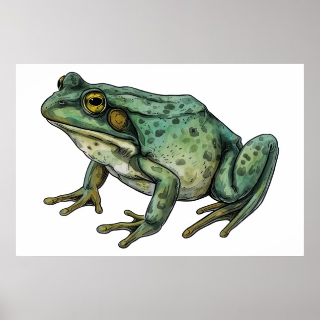Poster Grenouille (Devant)