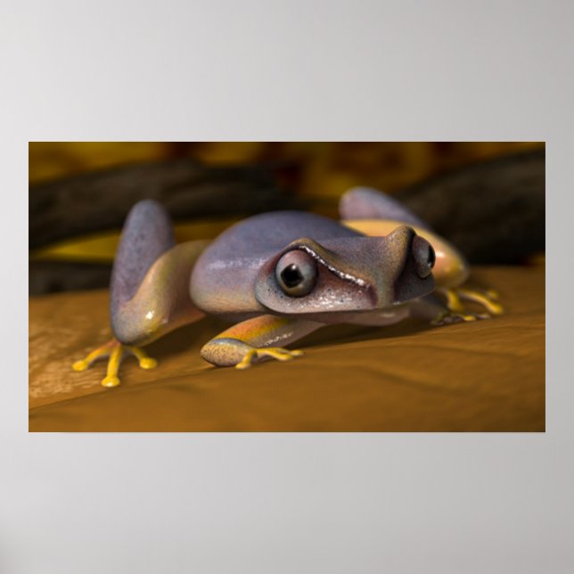 Poster Grenouille (Devant)