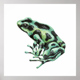Poster grenouille à fléchettes