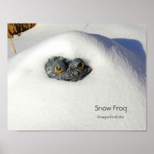 Poster Grenouille à neige