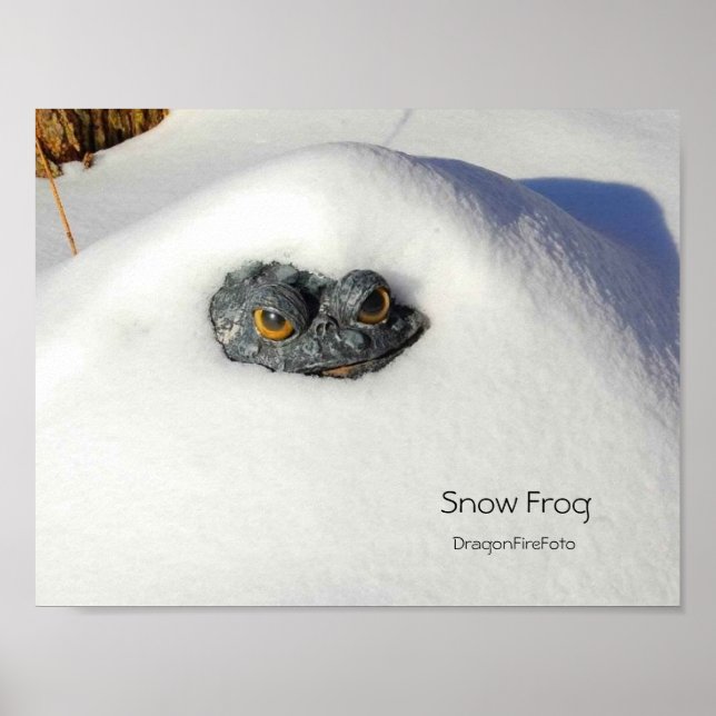 Poster Grenouille à neige (Devant)