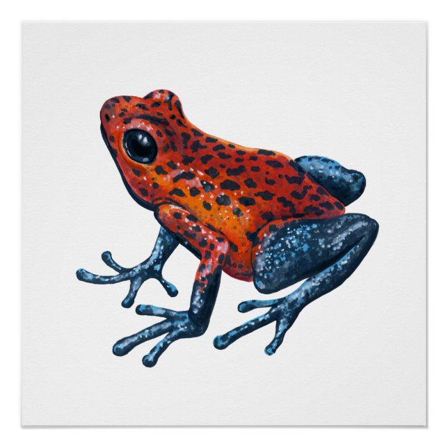 Poster Grenouille à tarte aux fraises (Devant)