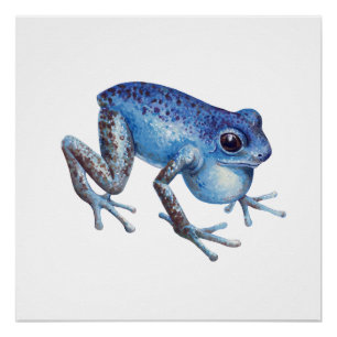 Poster Grenouille à tarte aux fraises