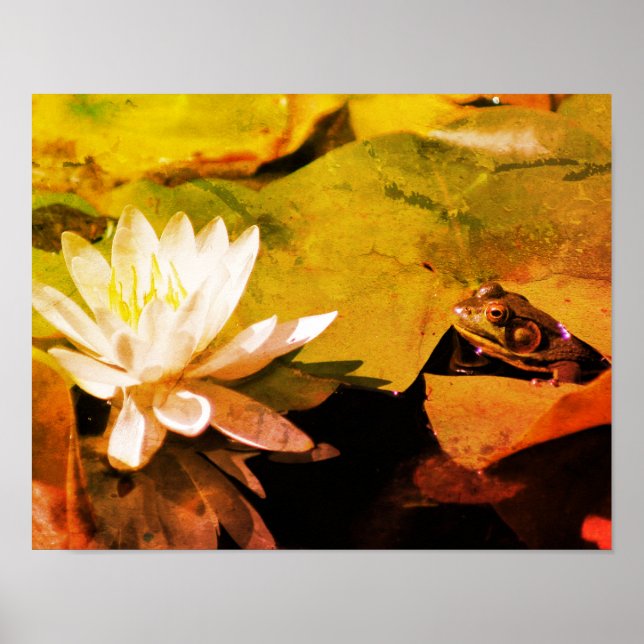 Poster Grenouille Admirant L'Eau Lily Grunge Abstrait (Devant)