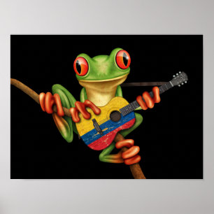 Poster Grenouille Arbre Jouer Drapeau Colombien Guitare N