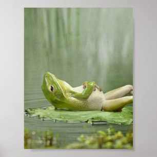 Poster Grenouille azy