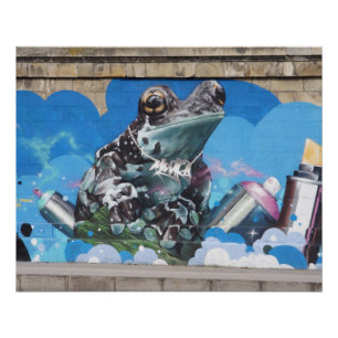Poster Grenouille cool entre les boîtes de Spray