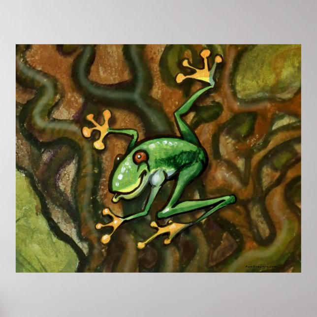 Poster Grenouille des arbres (Devant)