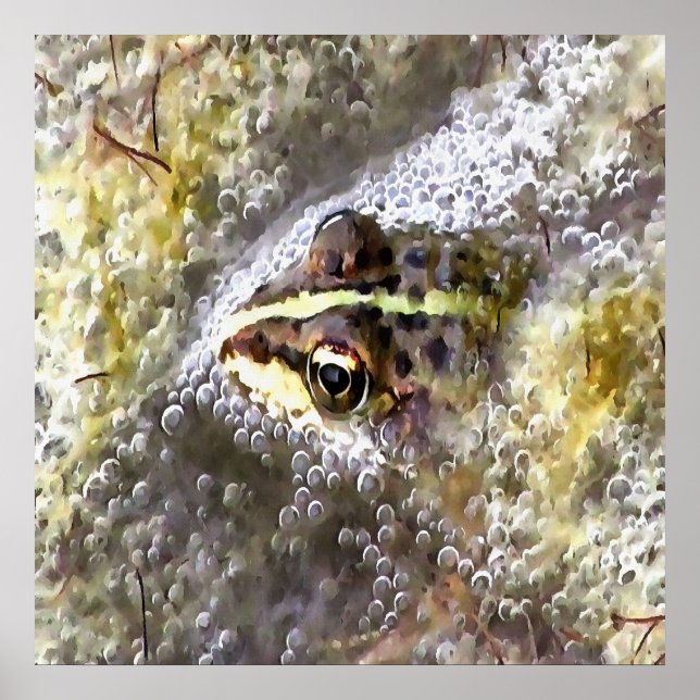 Poster Grenouille plongée dans des bulles d'eau et des mo (Devant)