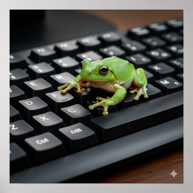 Poster Grenouille sur un clavier d'ordinateur (Devant)
