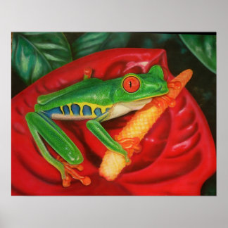 Poster Grenouille tropicale