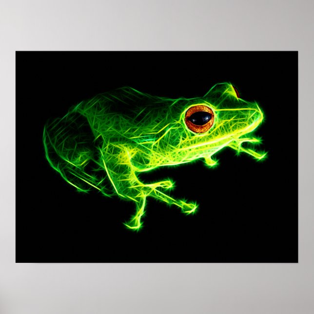 Poster Grenouille verte (Devant)