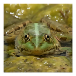 Poster Grenouille verte Camouflée contre lit Patiné River