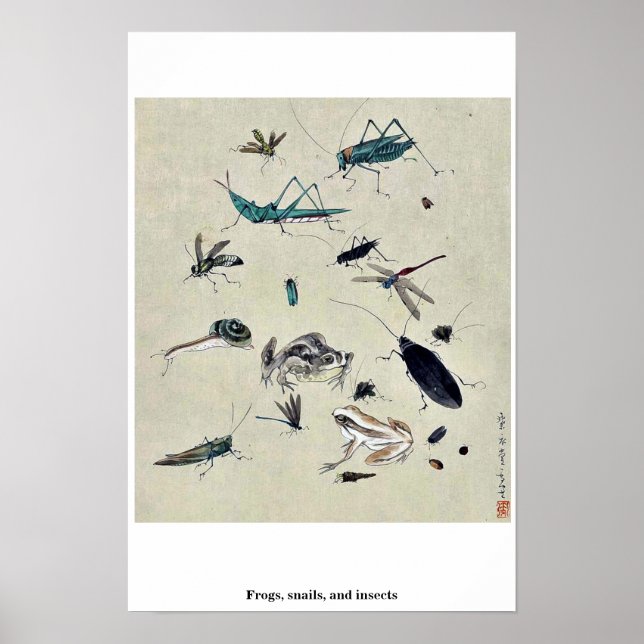 Poster Grenouilles, escargots et insectes (Devant)