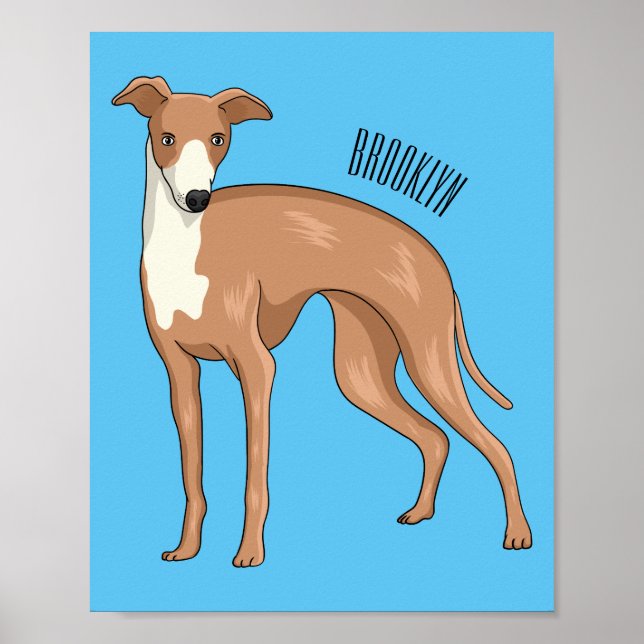 Poster Greyhound dog (Devant)