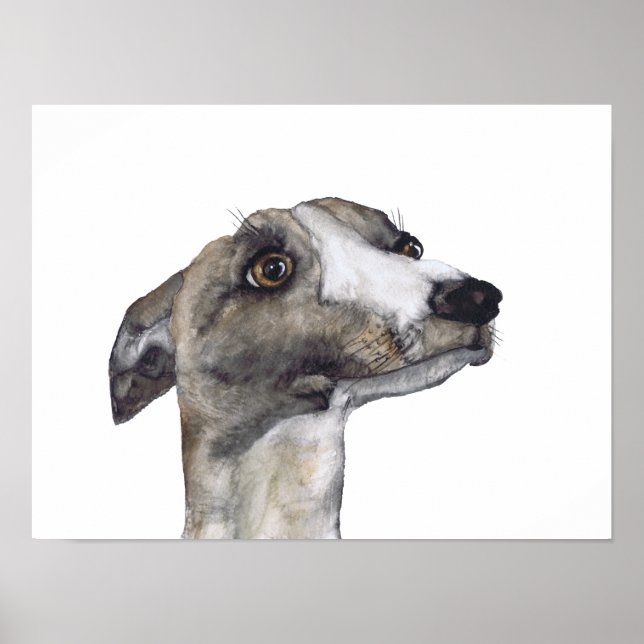 Poster GREYHOUND g918 (Devant)
