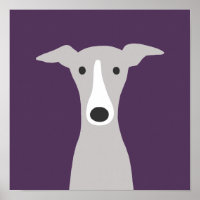 Greyhound mignon, Greyhound italien ou Chien Whipp
