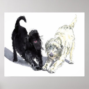 Poster Griffonnage de Labradoodle