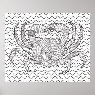 Poster Griffonnage détaillé 2 de crabe de mer