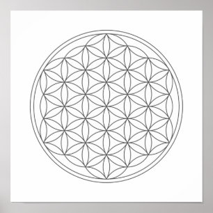 Poster Grille en cristal - fleur de la vie
