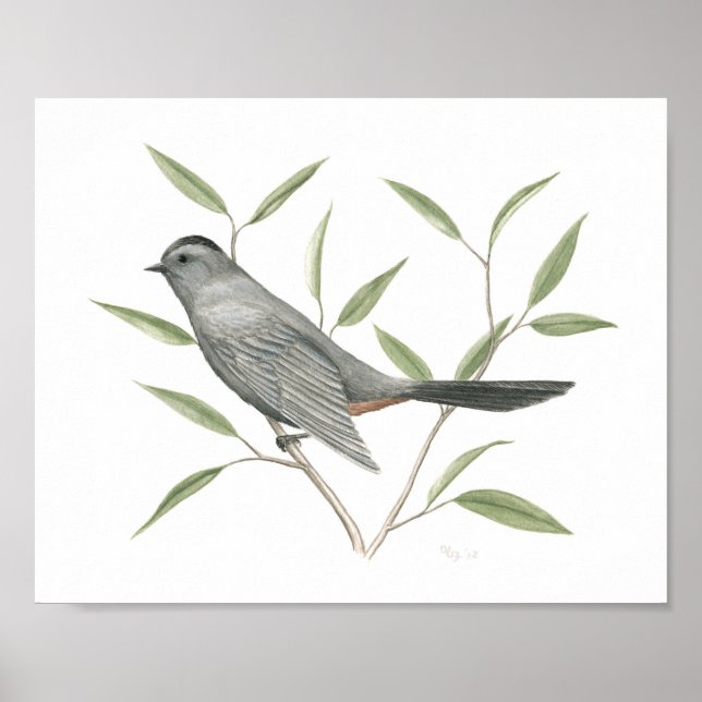 Poster Gris Catbird Beaux-Arts Imprimer (Devant)
