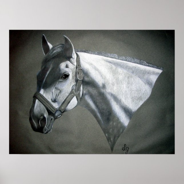 Poster Gris sur Gris (Devant)