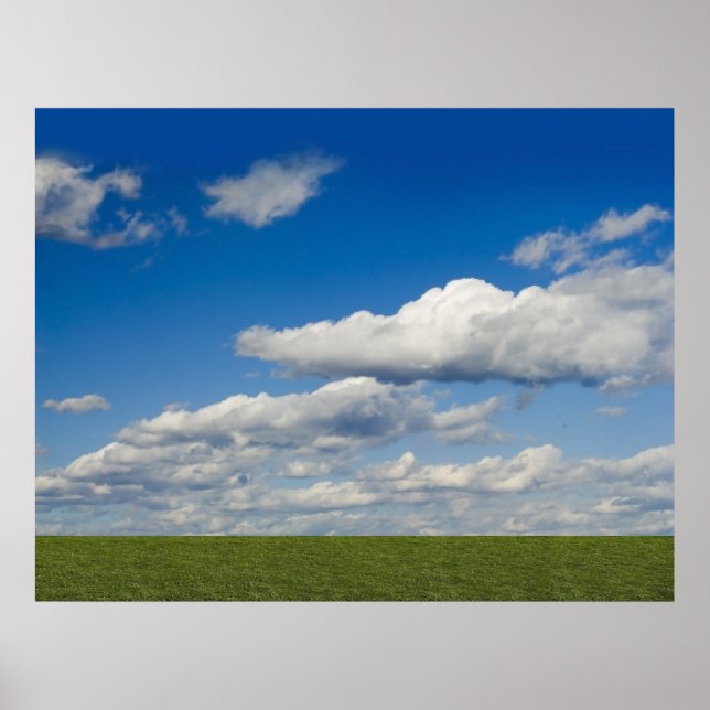 Poster gris vert, ciel bleu, nuage blanc (Devant)