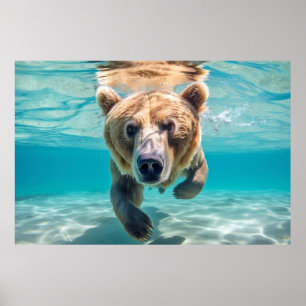 Poster Grizzly Oear Animal Amusement Nature Jouer
