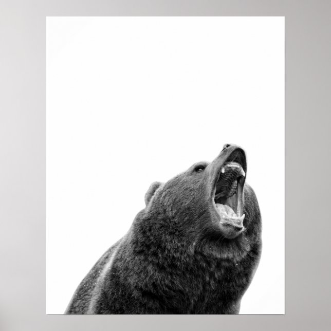 Poster Grizzly Oear Noir Blanc moderne (Devant)