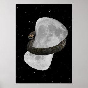 Poster Gros gros bras