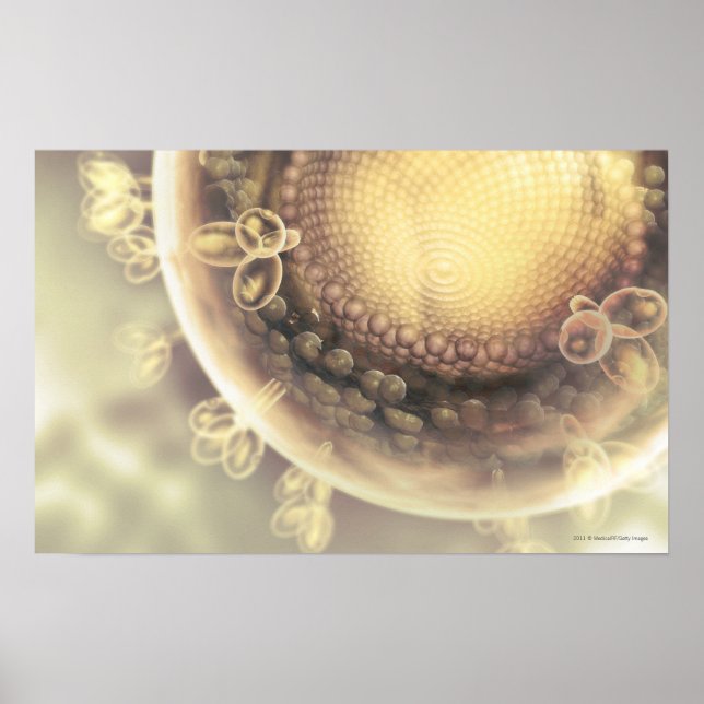 Poster Gros plan de la structure d'une cellule VIH (Devant)