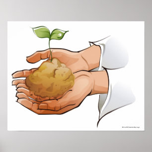 Poster Gros plan des mains d'une personne tenant des semi