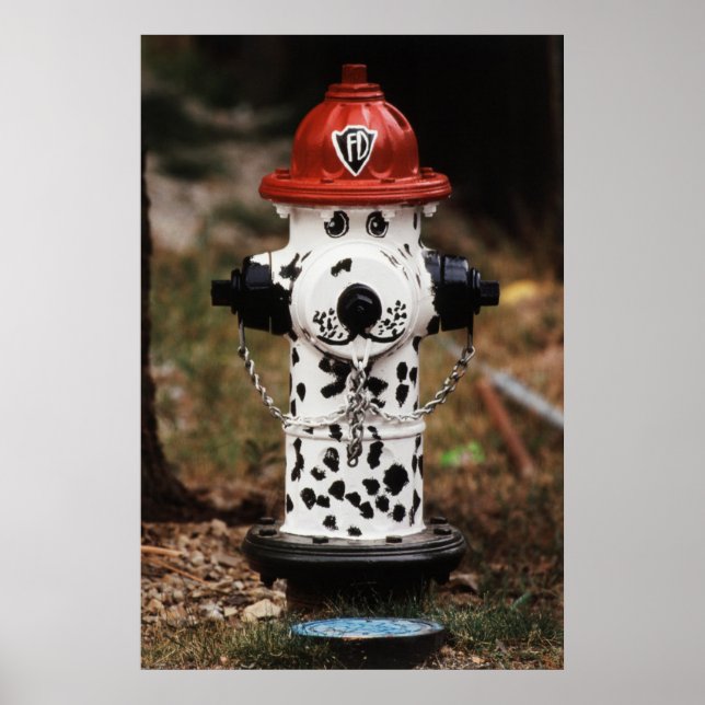 Poster Gros plan d'une borne d'incendie (Devant)