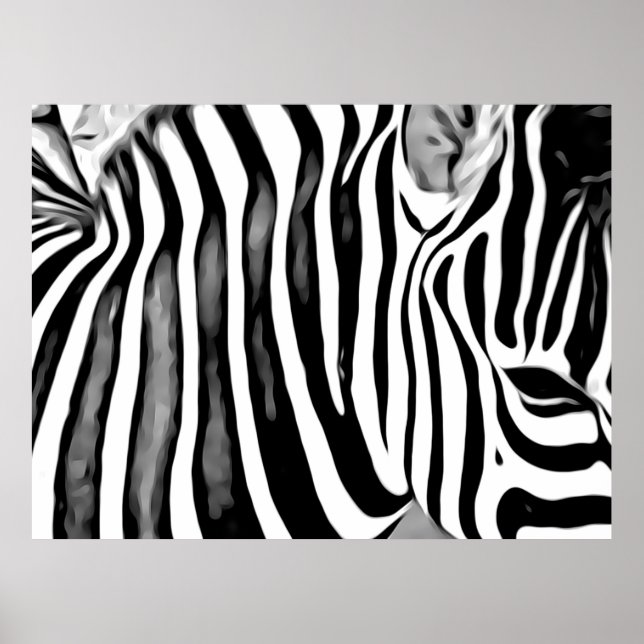Poster Gros plan pour Zebra (Devant)
