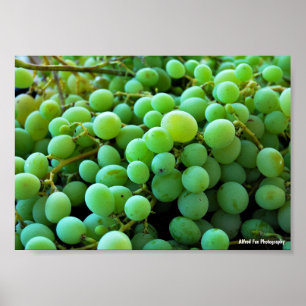 Poster Gros plan sur des raisins blancs