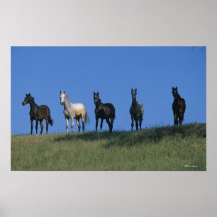 Poster Groupe d'Arabes