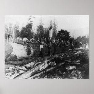 Poster Groupe de Lumberjacks sur une grande photo en rond