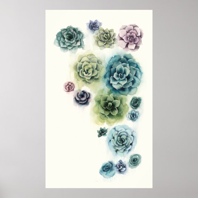 Poster Groupe de succulents (Devant)
