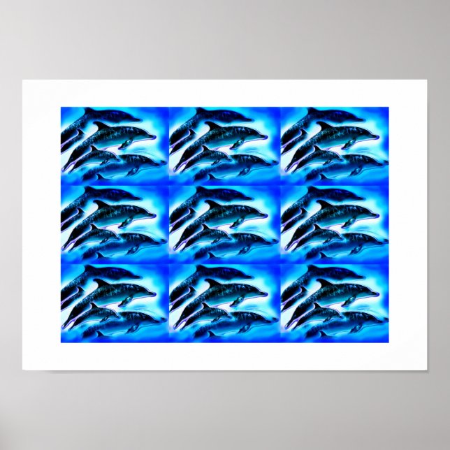 Poster Groupes de dauphins (Devant)