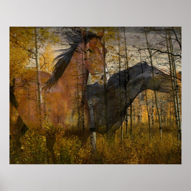 Poster Grove fantôme (Devant)