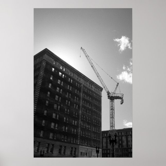 Poster Grue (Devant)