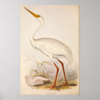 Grue blanche de l'époque victorienne