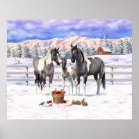 Grulla Pinto Grey Paint Hors sur une ferme d'hiver