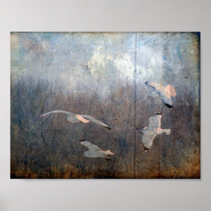 Poster Grunge de mouettes