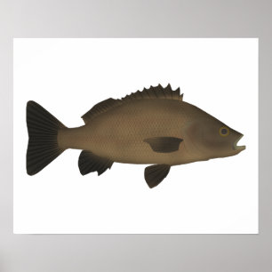 Poster Grunter