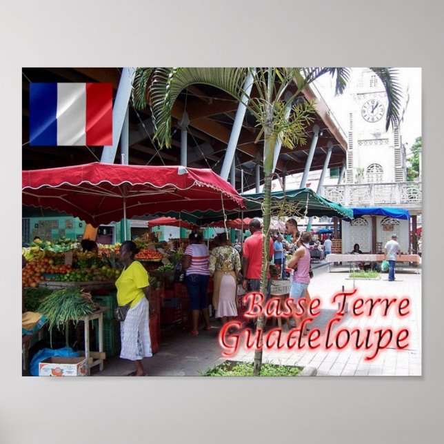 Poster Guadeloupe - Basse Terre - (Devant)