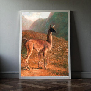 Poster Guanaco (vers 1848) peinture de Jacques–Laurent Ag