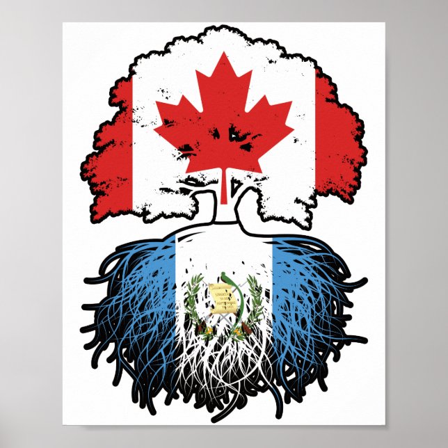 Poster Guatémaltèque Racines canadiennes d'arbres du Cana (Devant)